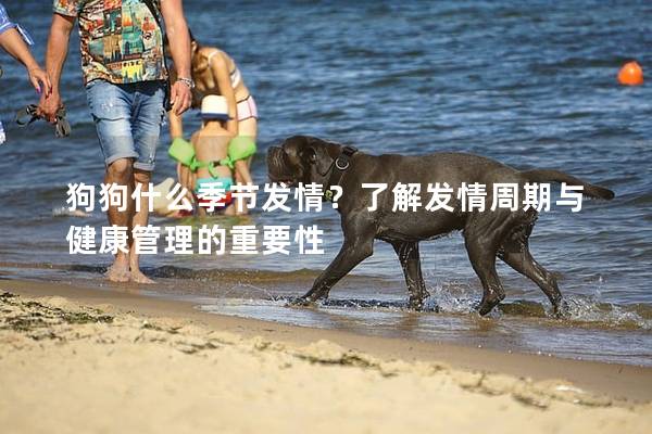 狗狗什么季節發情？了解發情周期與健康管理的重要性
